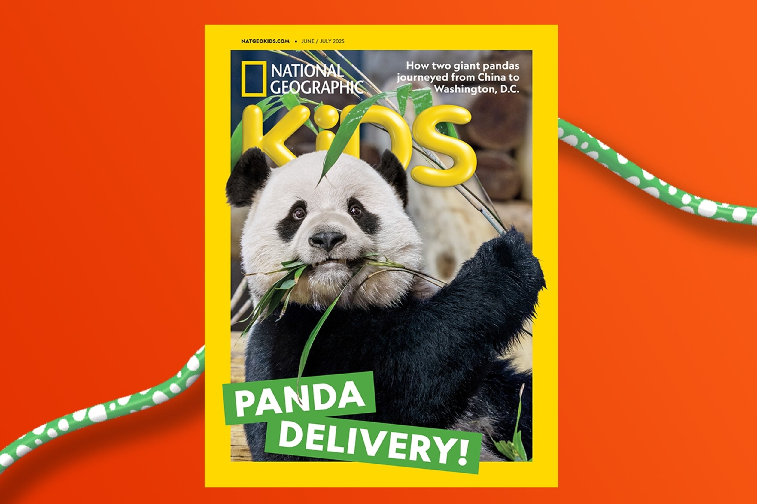 National Geographic Kids 153冊他 National Geographic Kids 153冊他 National Geographic Kids 153冊他